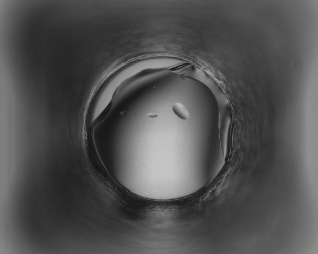 X0000093110248200710101027