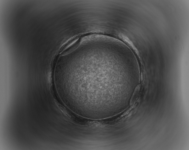 X0000093110249200710101027