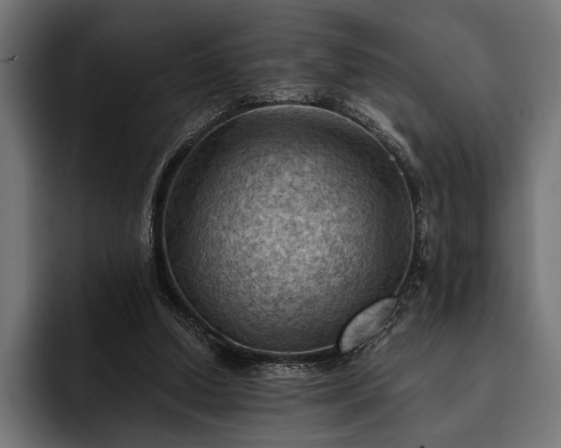 X0000093110250200710101027