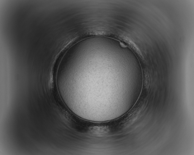 X0000093110251200710101027