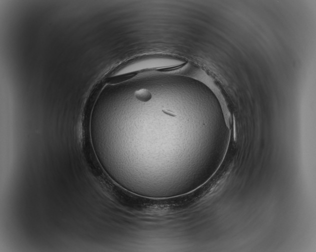 X0000093110252200710101027