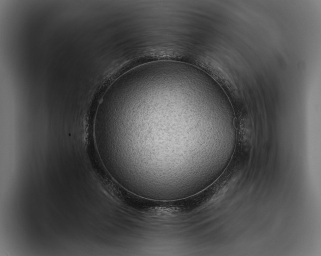 X0000093110255200710101027