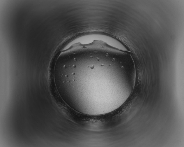 X0000093110256200710101027