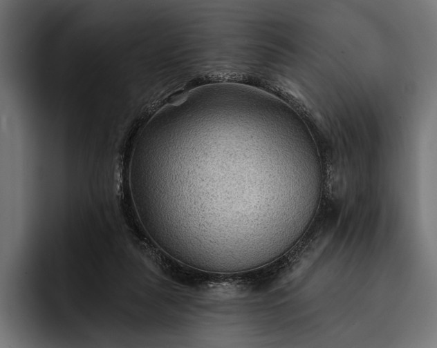 X0000093110259200710101027