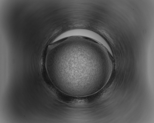 X0000093110260200710101027