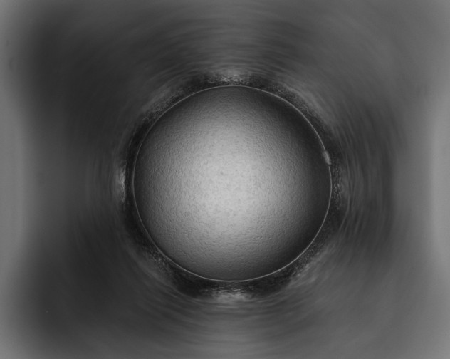 X0000093110262200710101027