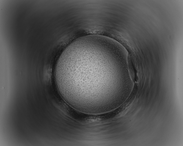 X0000093110263200710101027