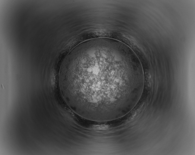 X0000093110266200710101027