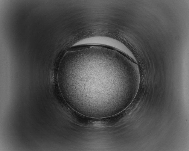 X0000093110268200710101027