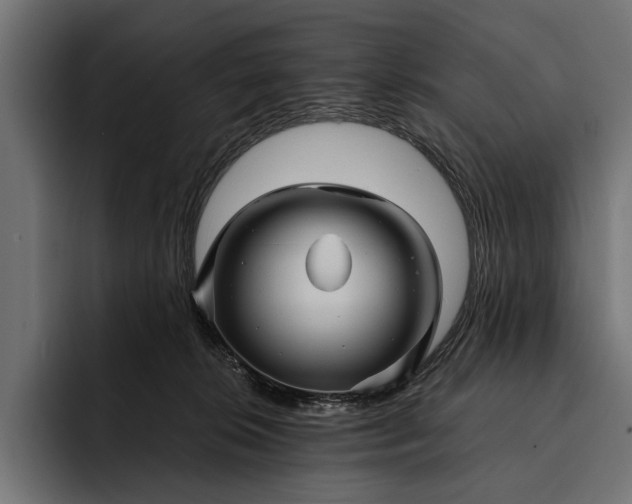 X0000093110276200710101027