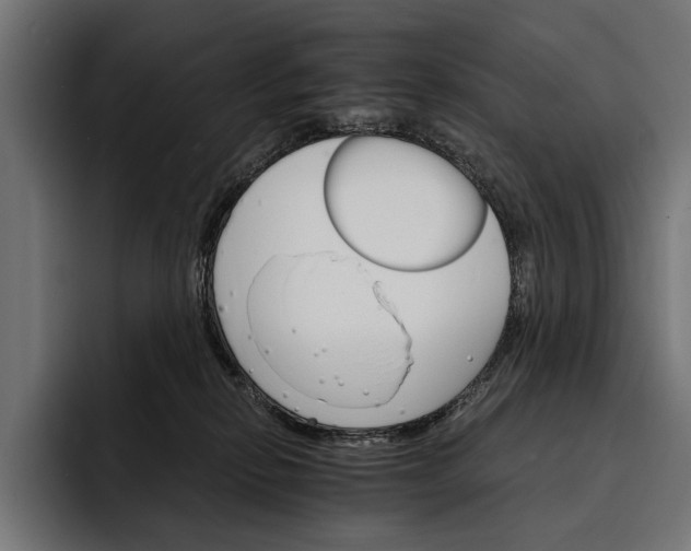 X0000093110278200710101027