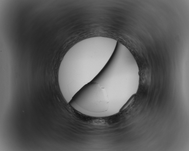 X0000093110279200710101027