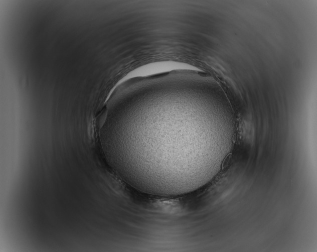 X0000093110283200710101027