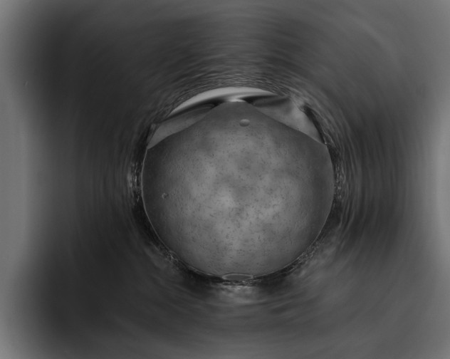 X0000093110284200710101027