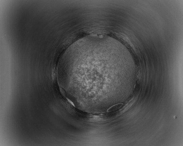 X0000093110285200710101027