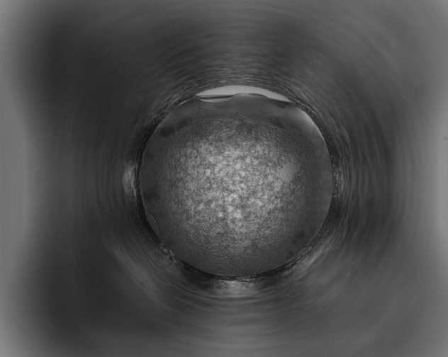 X0000093110286200710101027