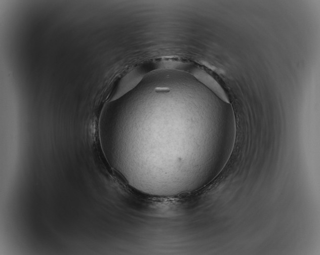 X0000093110288200710101027