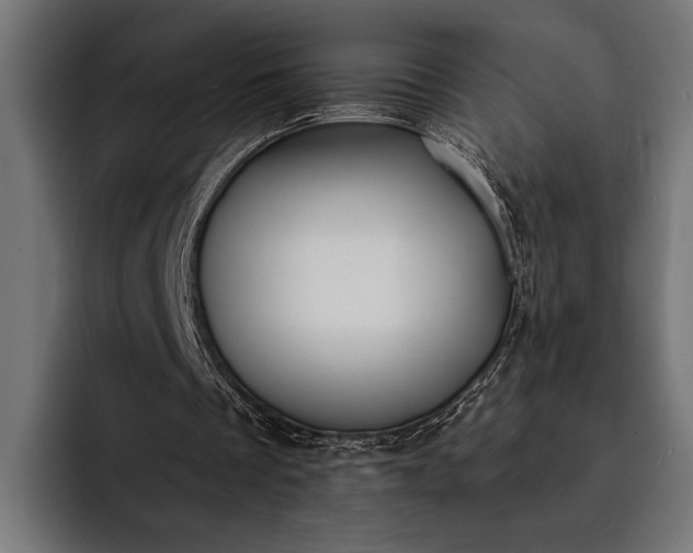 X0000093110289200710101027