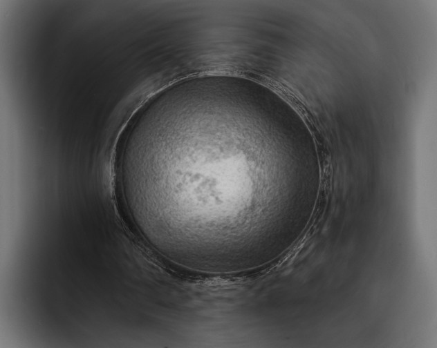 X0000093110290200710101027