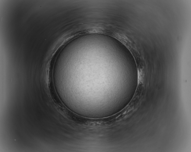 X0000093110291200710101027