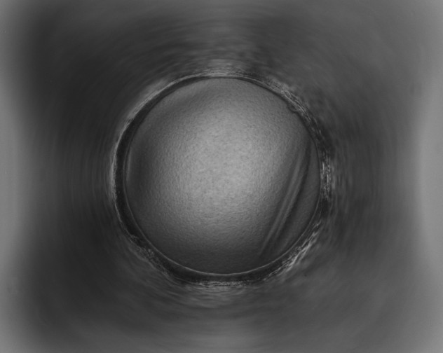 X0000093110292200710101027