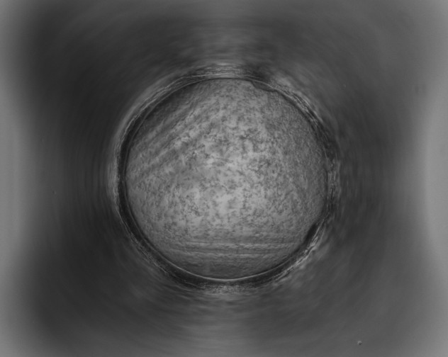 X0000093110293200710101027