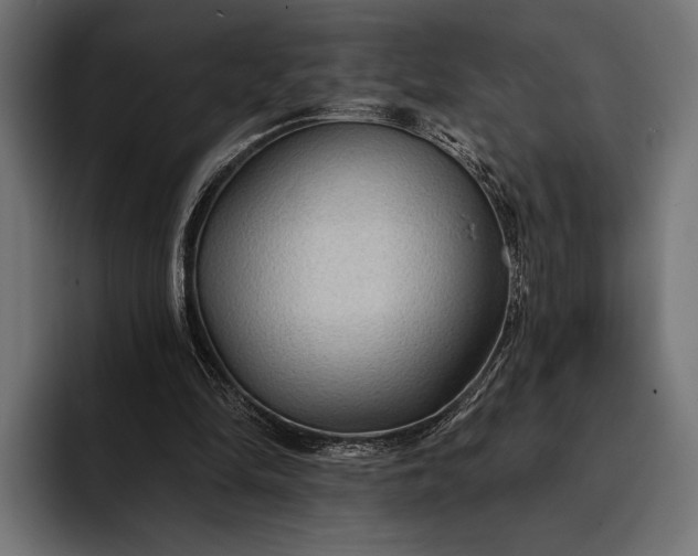 X0000093110294200710101027