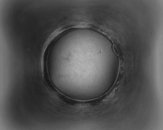 X0000093110296200710101027