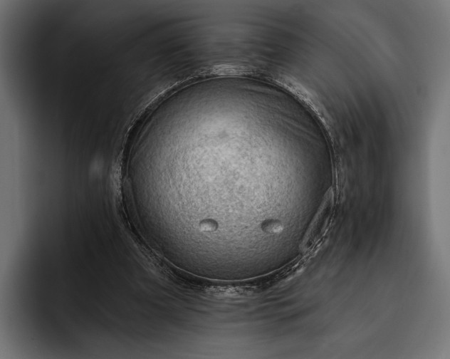 X0000093110297200710101027