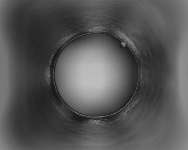 X0000093110298200710101027