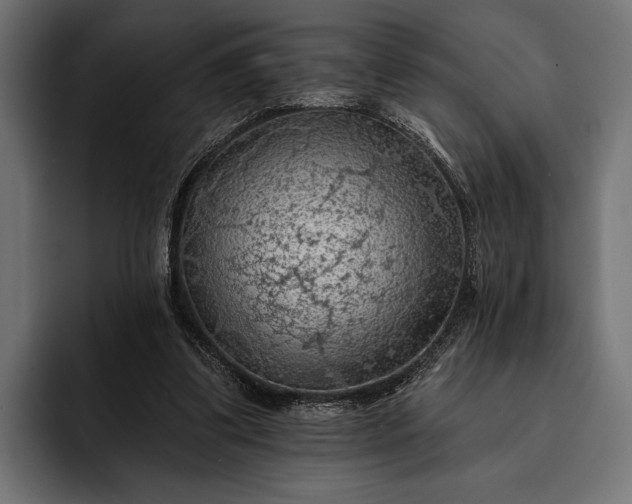 X0000093110299200710101027