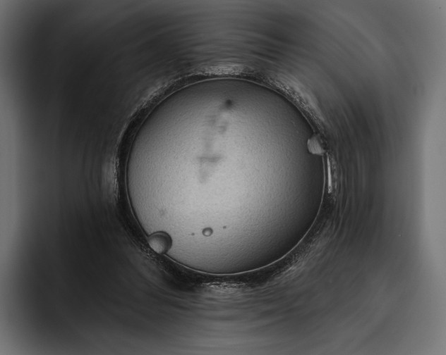 X0000093110300200710101027