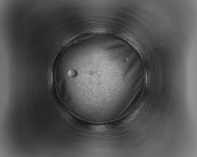 X0000093110301200710101027