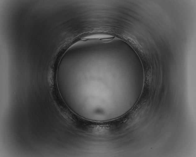 X0000093110303200710101027