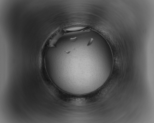 X0000093110304200710101026