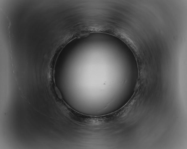 X0000093110305200710101026