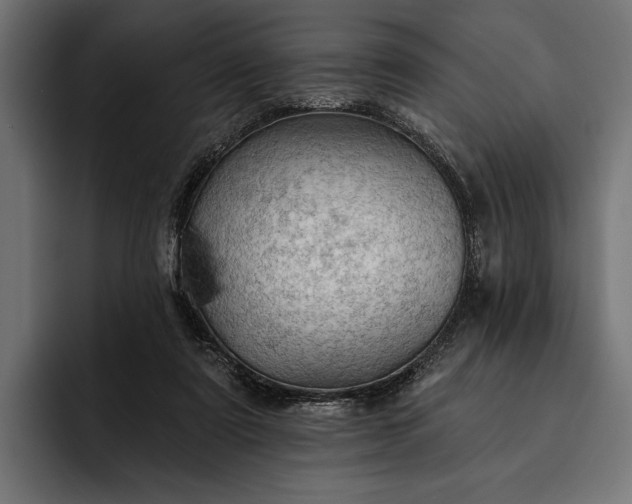 X0000093110307200710101026