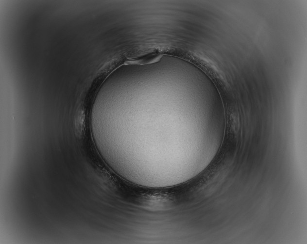 X0000093110308200710101026