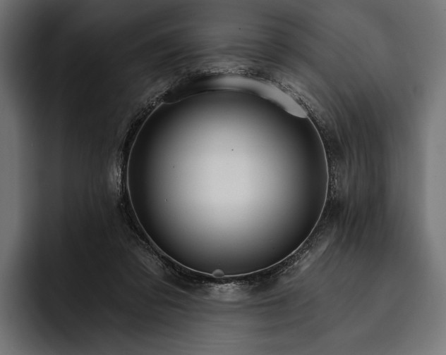 X0000093110309200710101026