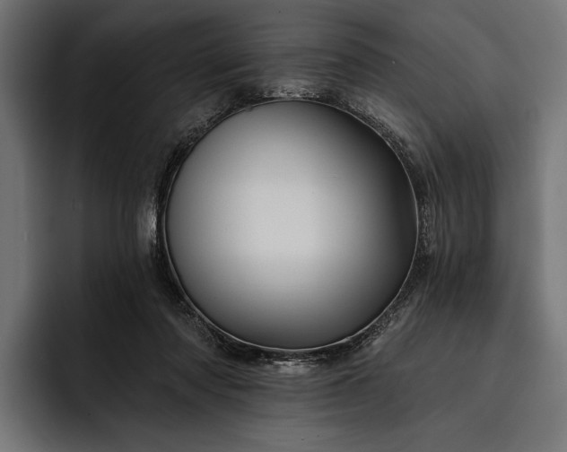 X0000093110310200710101026