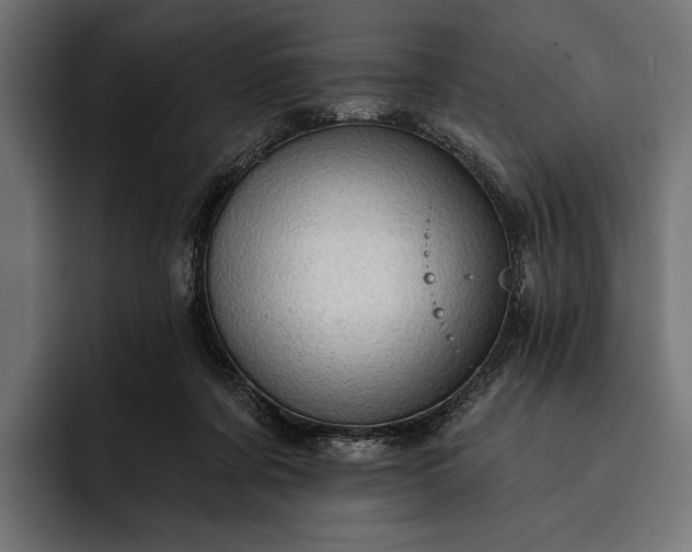 X0000093110311200710101026