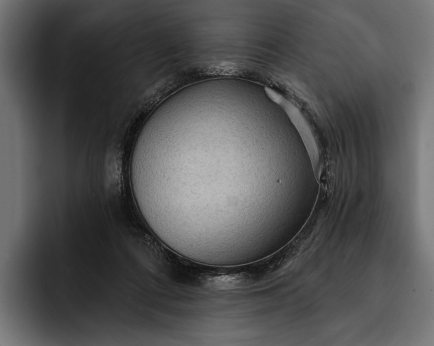 X0000093110312200710101026