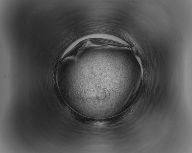 X0000093110313200710101026