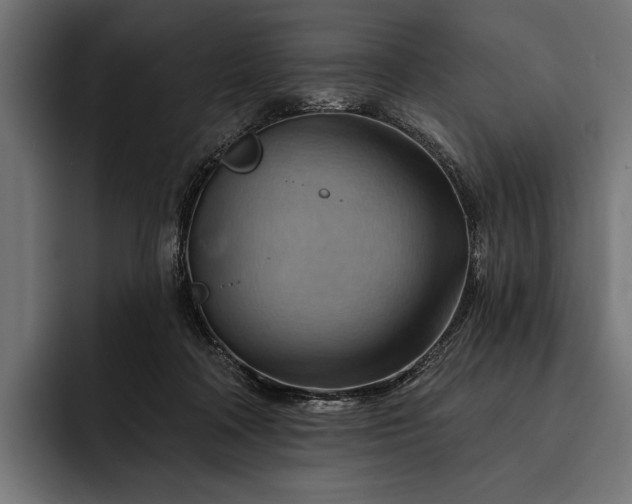 X0000093110314200710101026