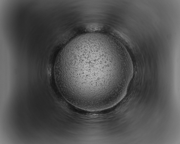 X0000093110315200710101026