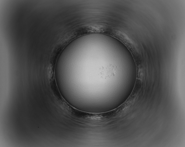 X0000093110318200710101026