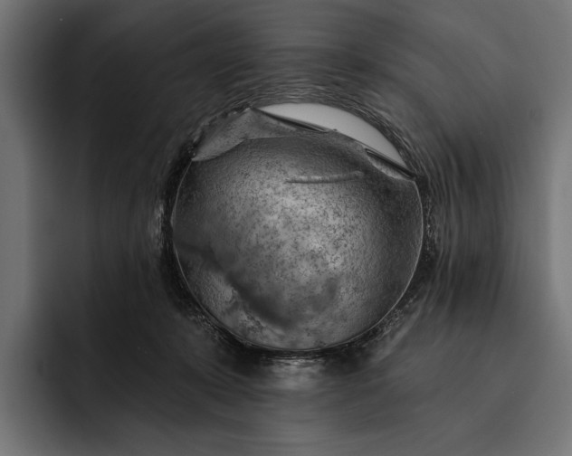 X0000093110319200710101026