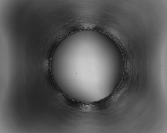 X0000093110321200710101026