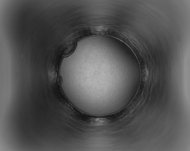 X0000093110324200710101026