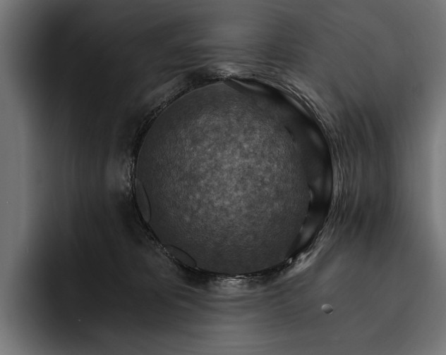 X0000093110325200710101026